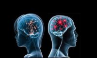 Alterations of sexual behavior – Human DES data