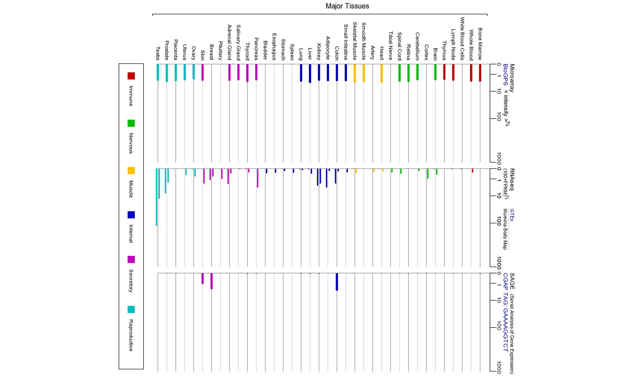 image of ADAM7 gene