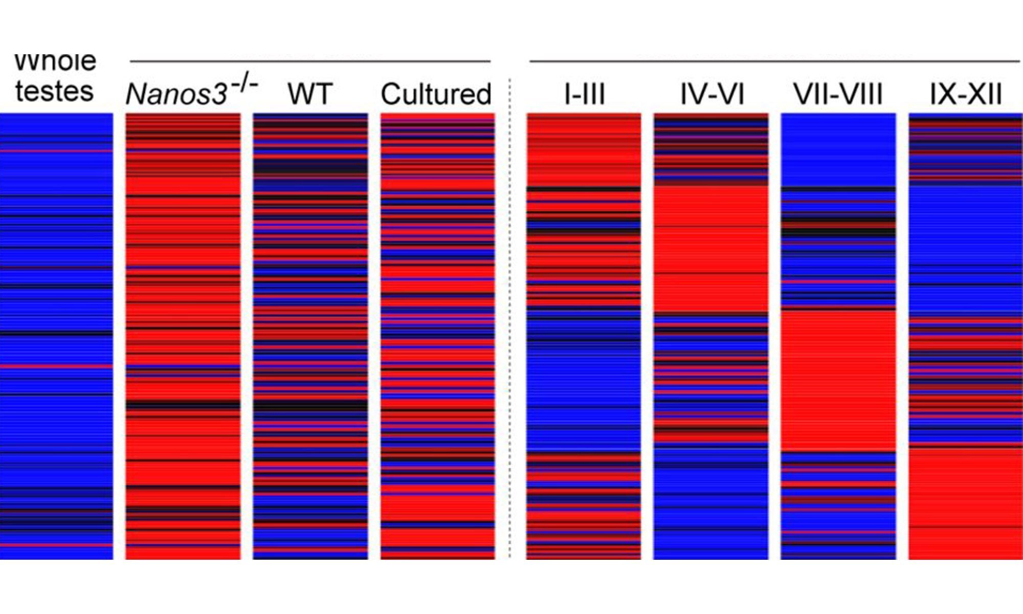 image of tests gene expression