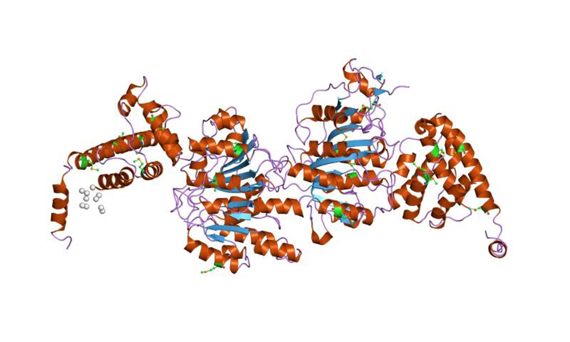 image of DNA-methyltransferases