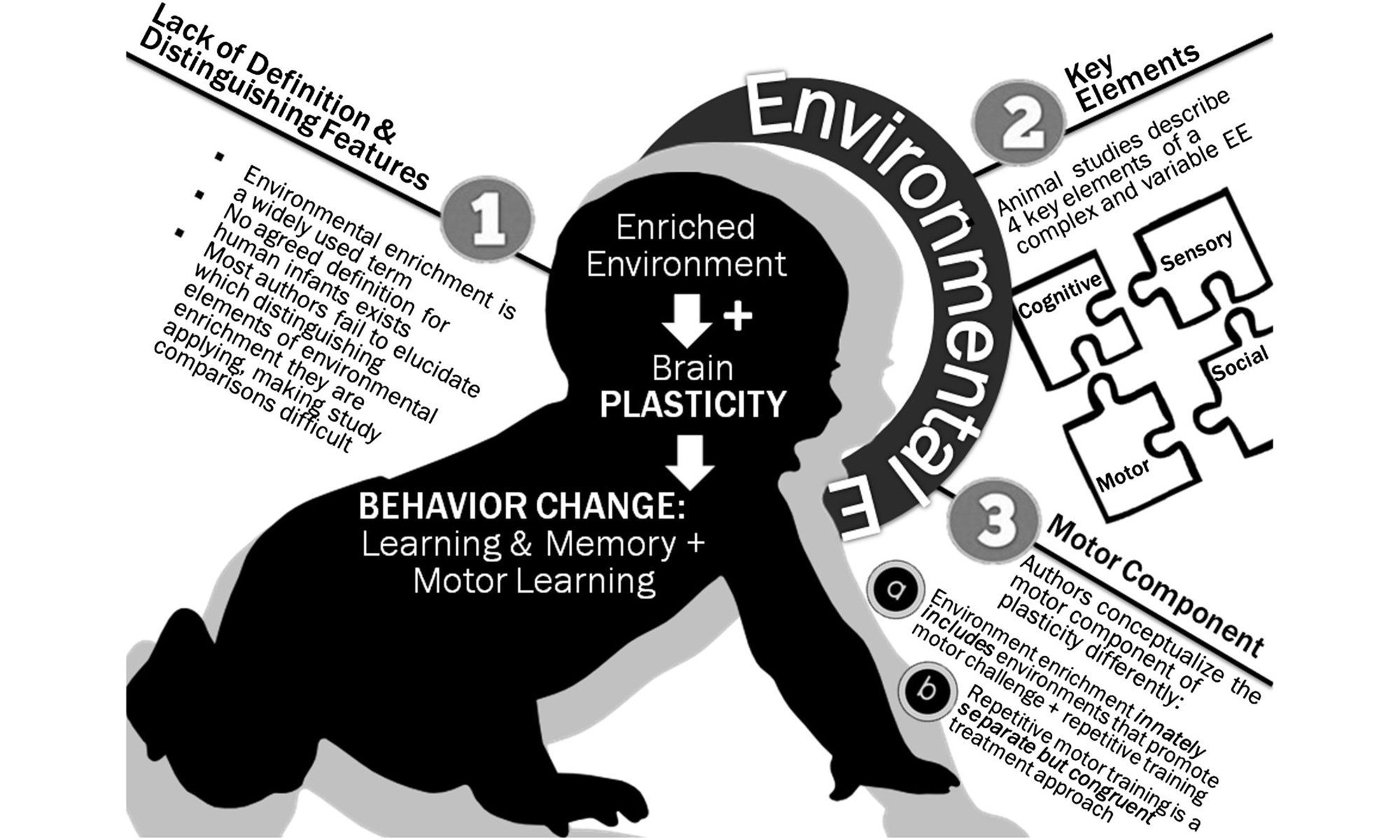 image of Environmental enrichment.