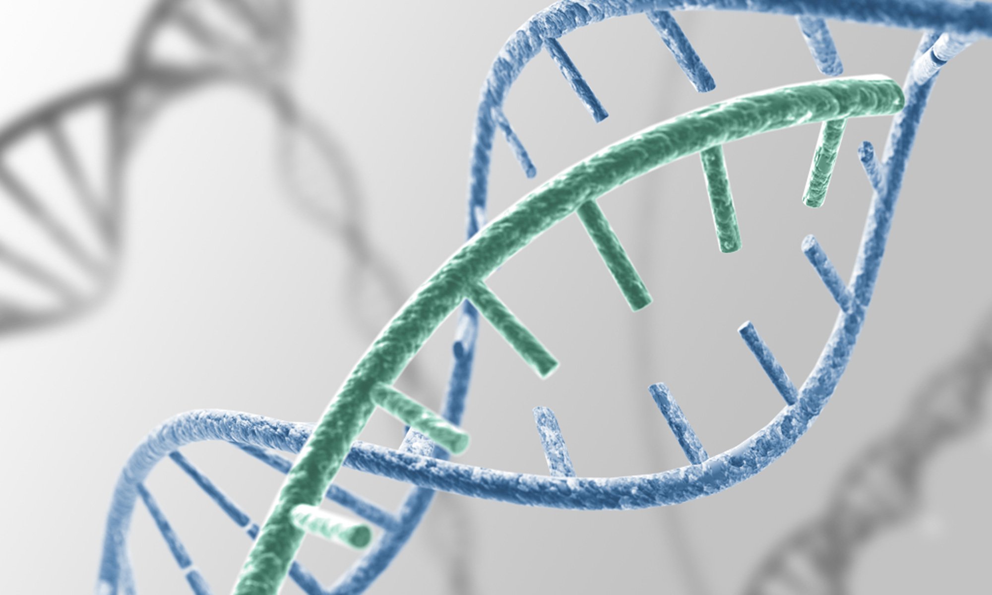 image of gene expression