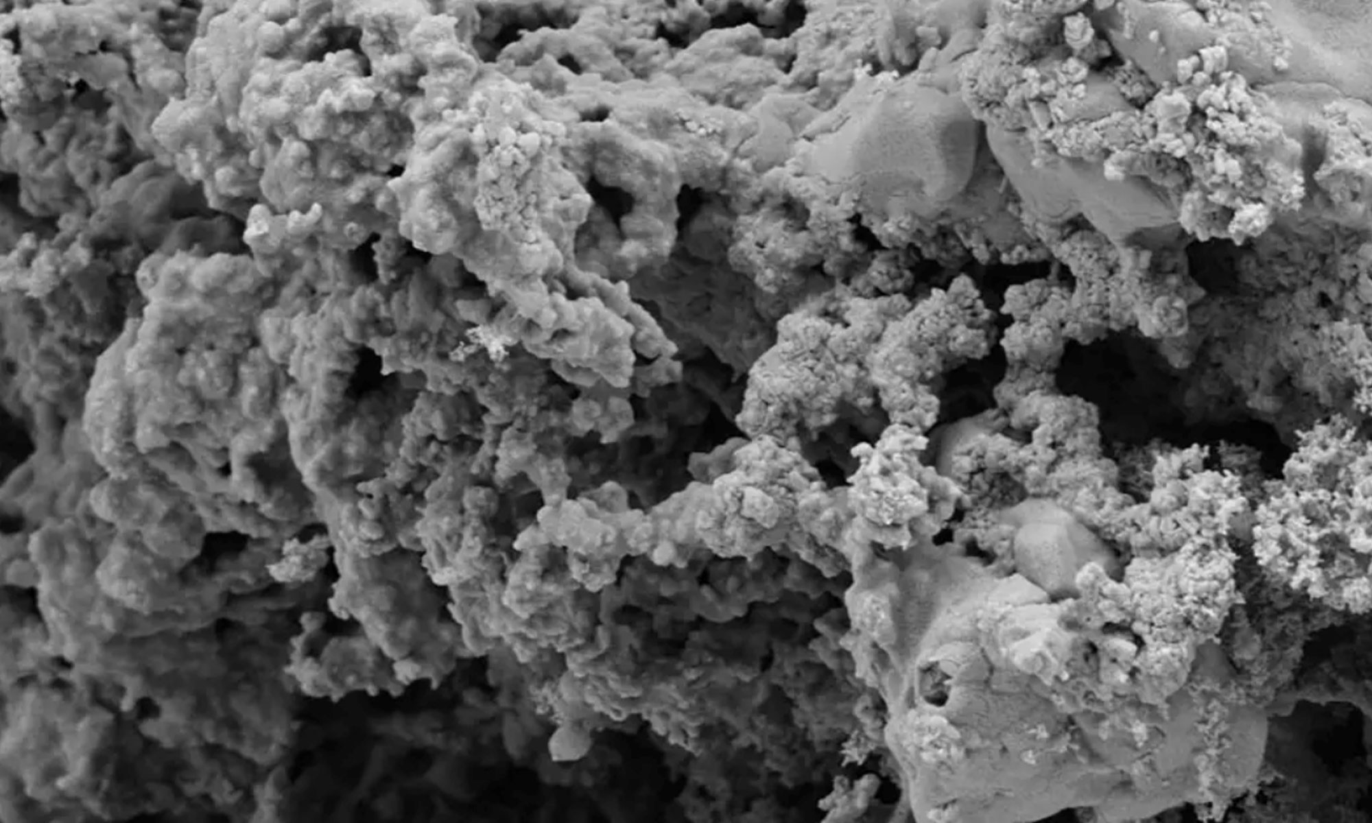 image of immunotoxic effects
