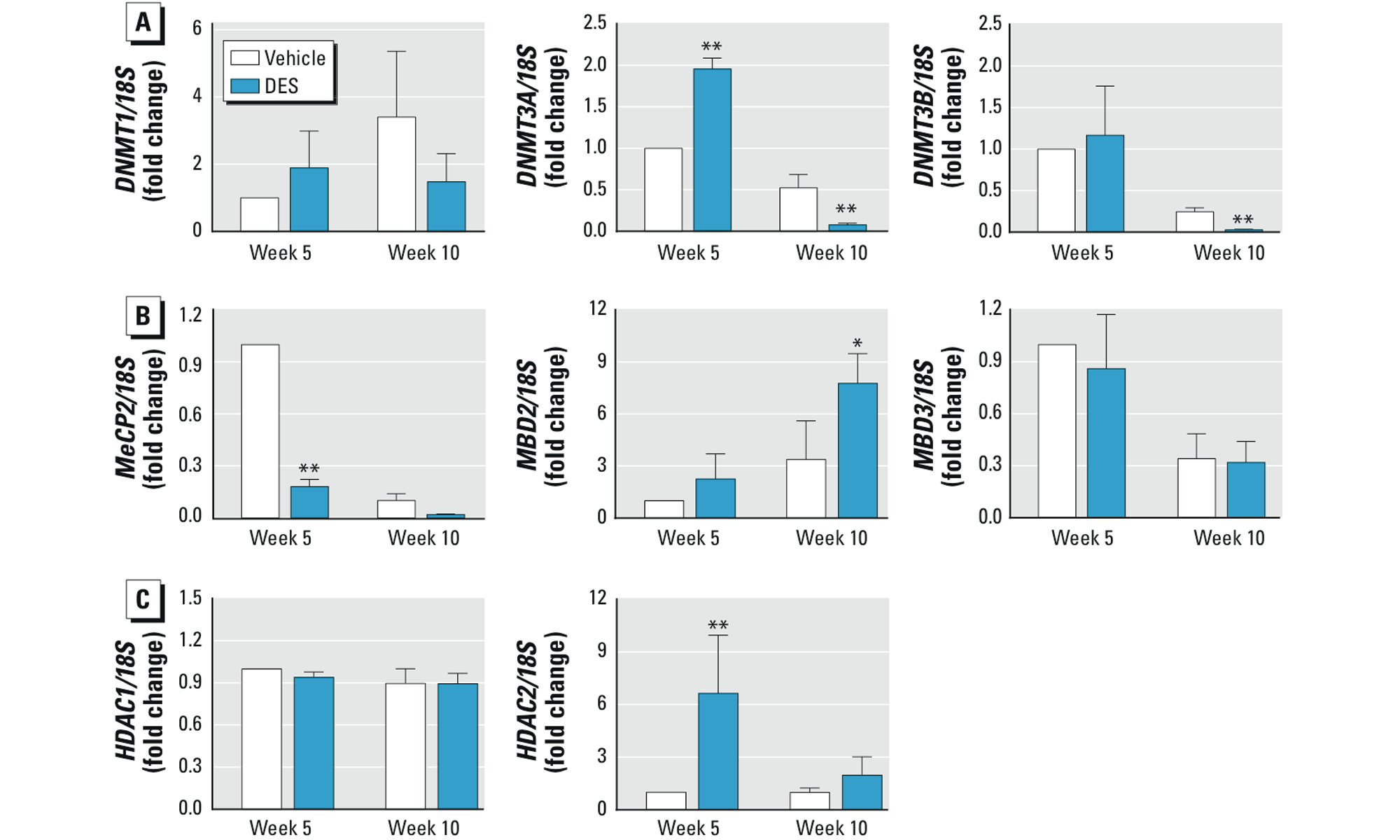 image of Effect of neonatal DES exposure on Svs4 (A) or Ltf (B) gene expression in SVs of mice 10 weeks after treatment with vehicle or DES