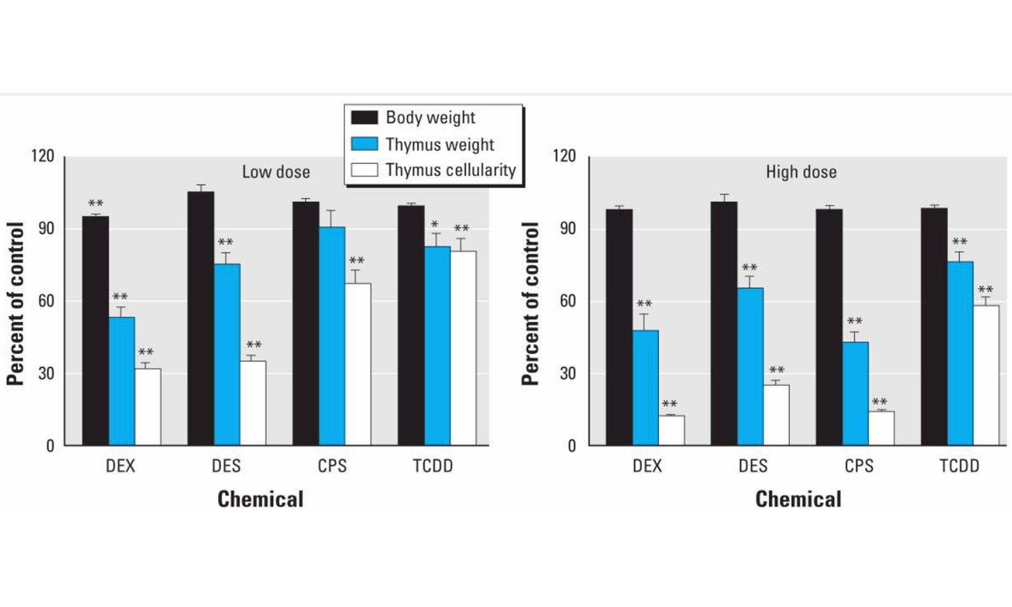 image of Gene Expression Alterations in Immune System Pathways in the Thymus after Exposure to