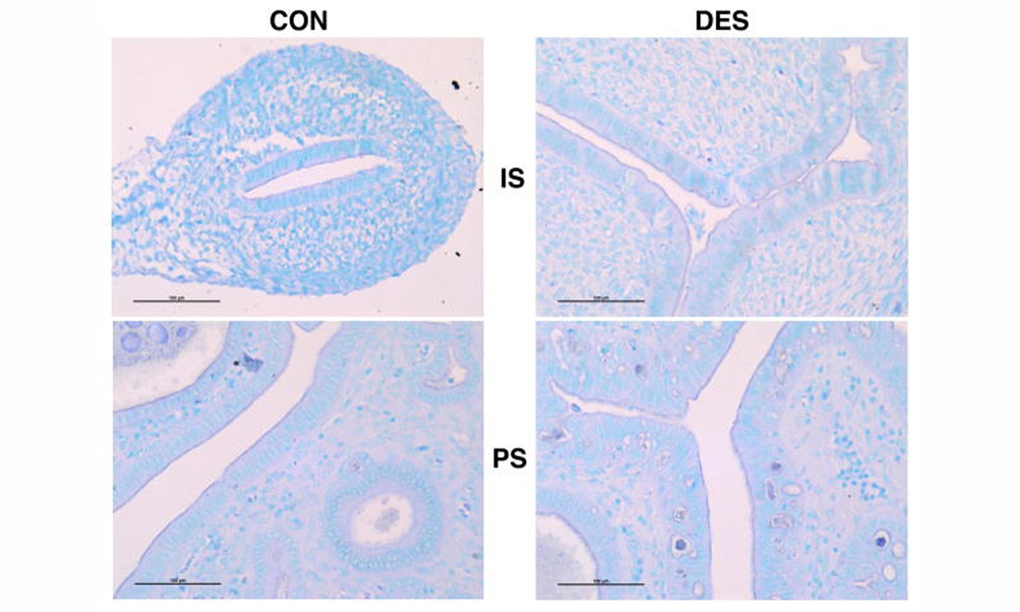 image of altered-gene-expression-patterns