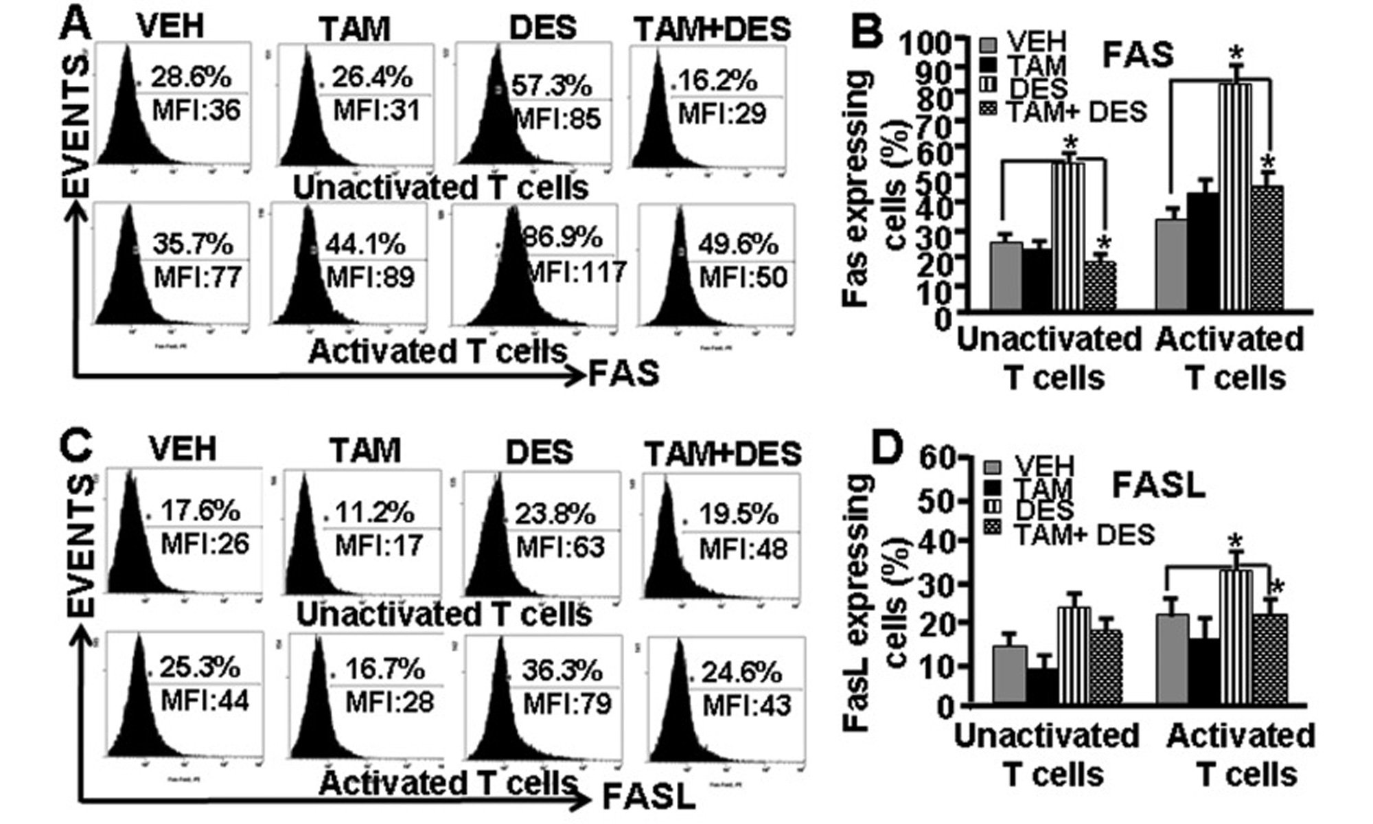 image of des disrupts T-cell differentiation