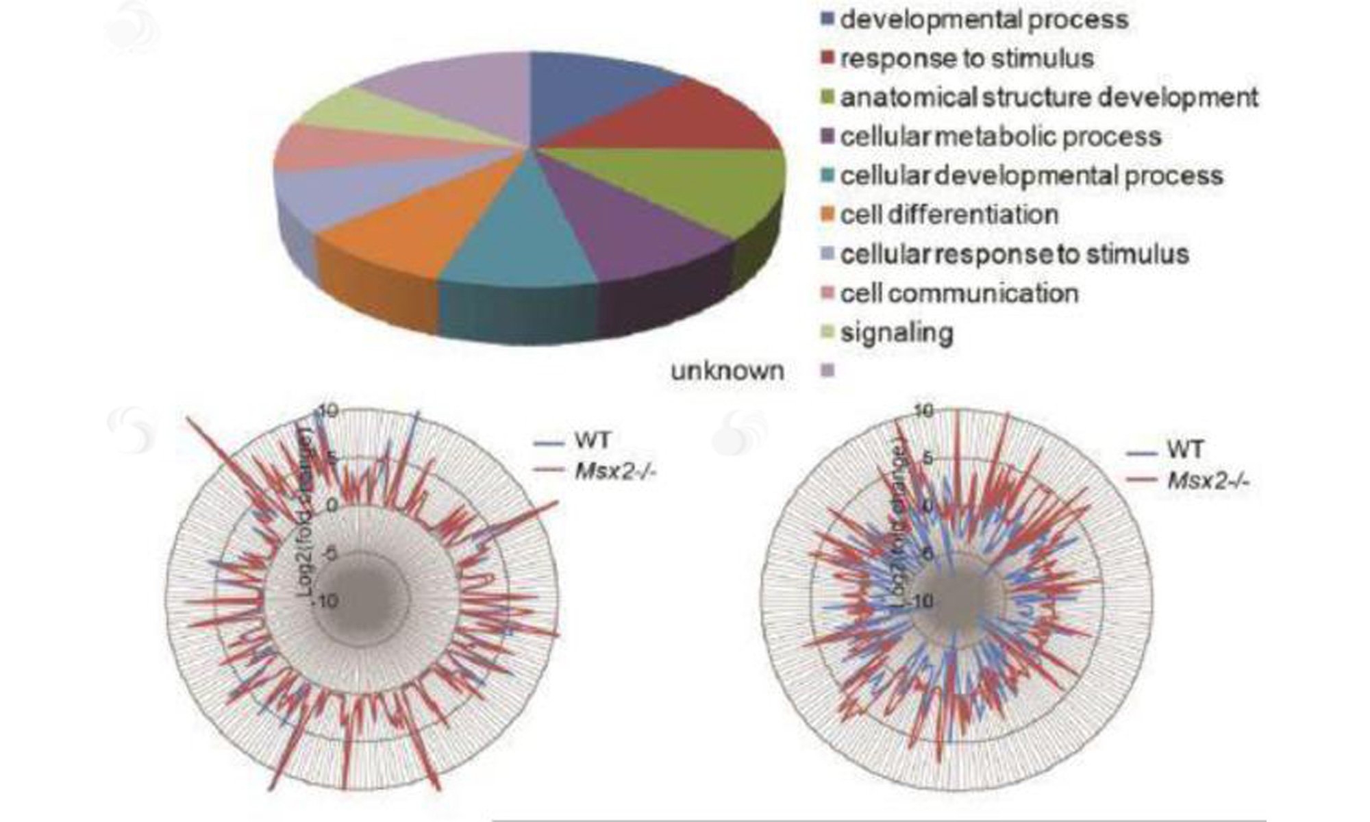 image of Differentially regulated genes by DES in Msx2 uterus