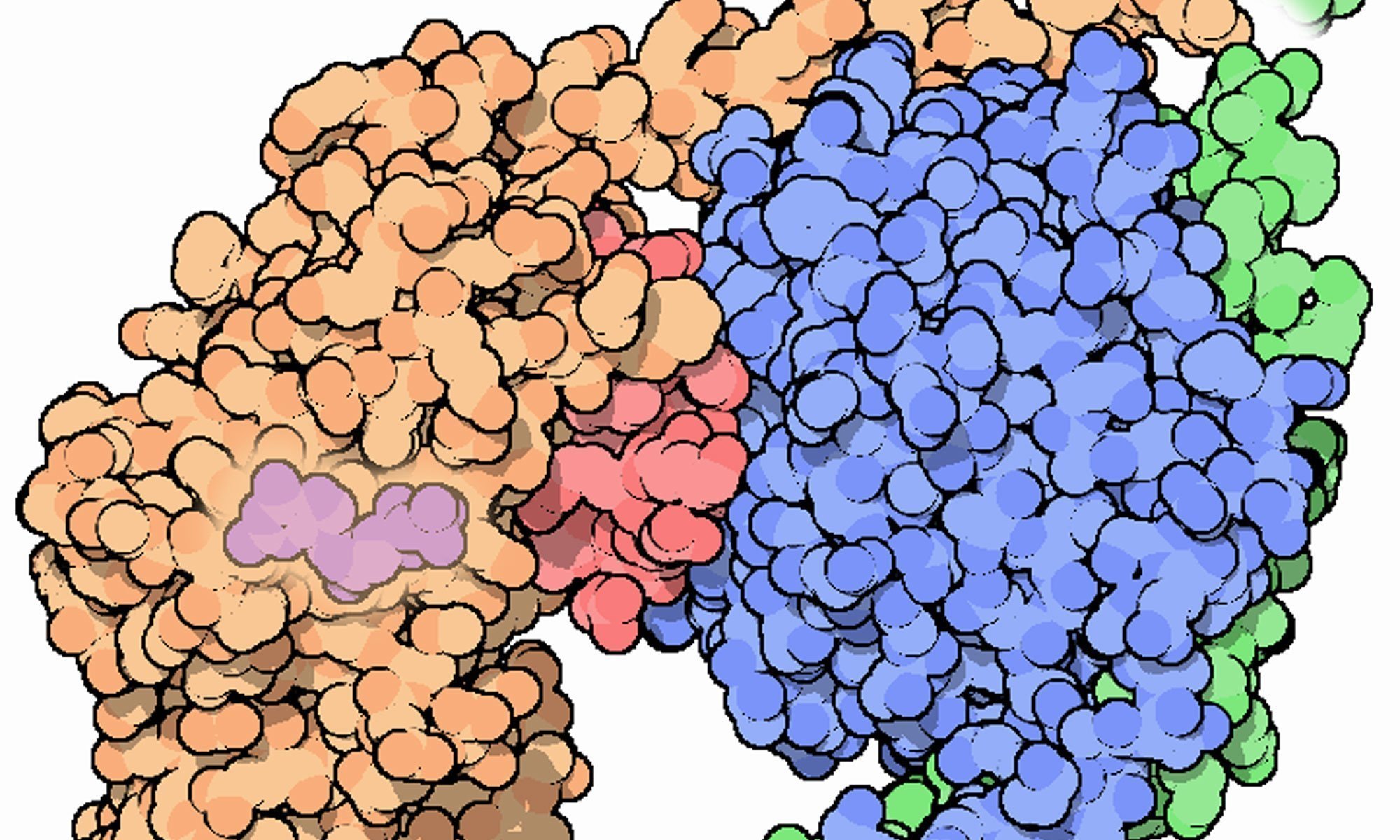 image of G-protein