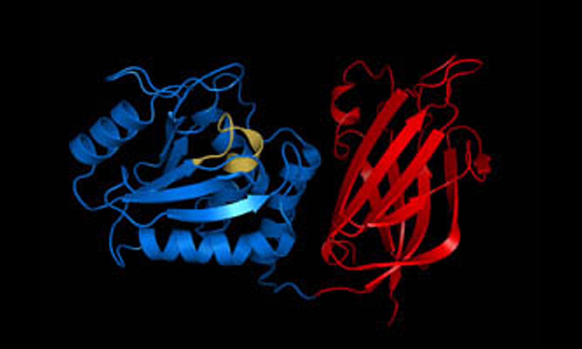 image of PTEN gene