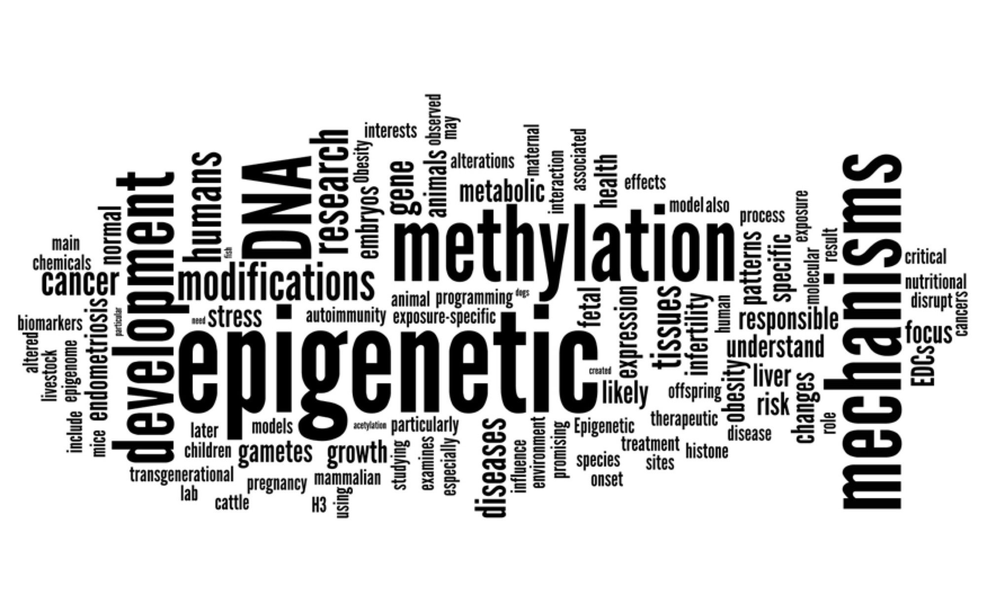human epigenetics poster