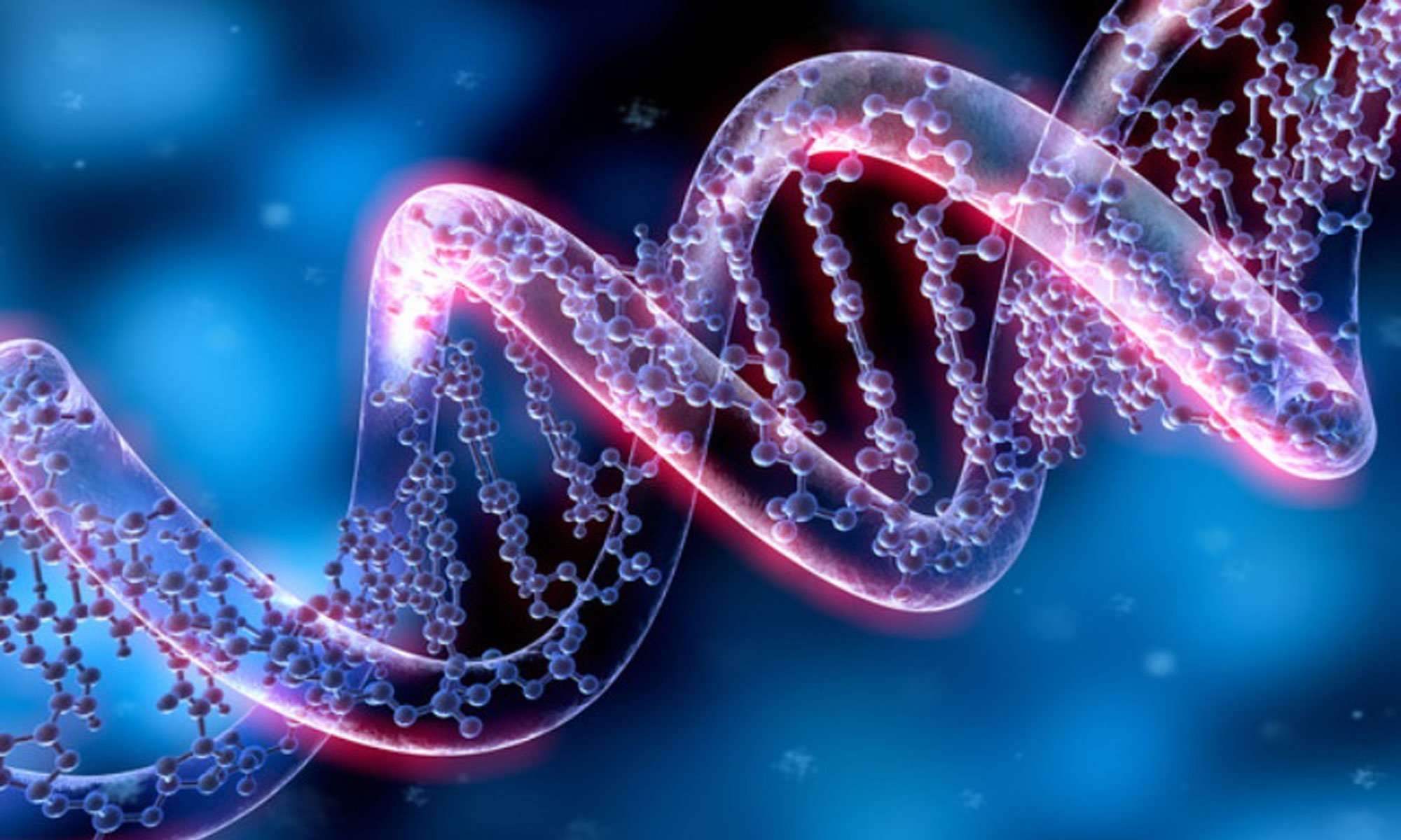 image of Genome damage