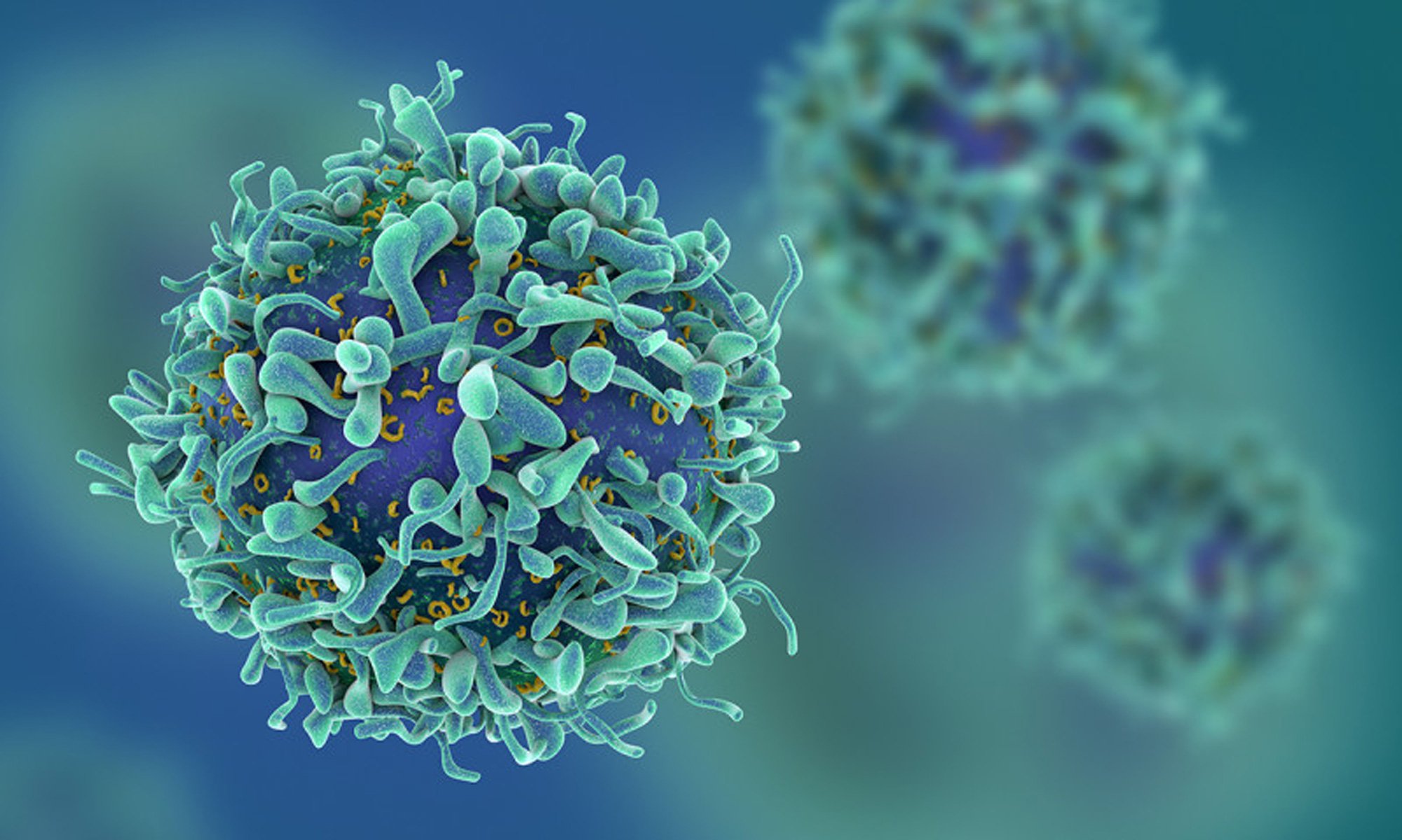 image of T-cells