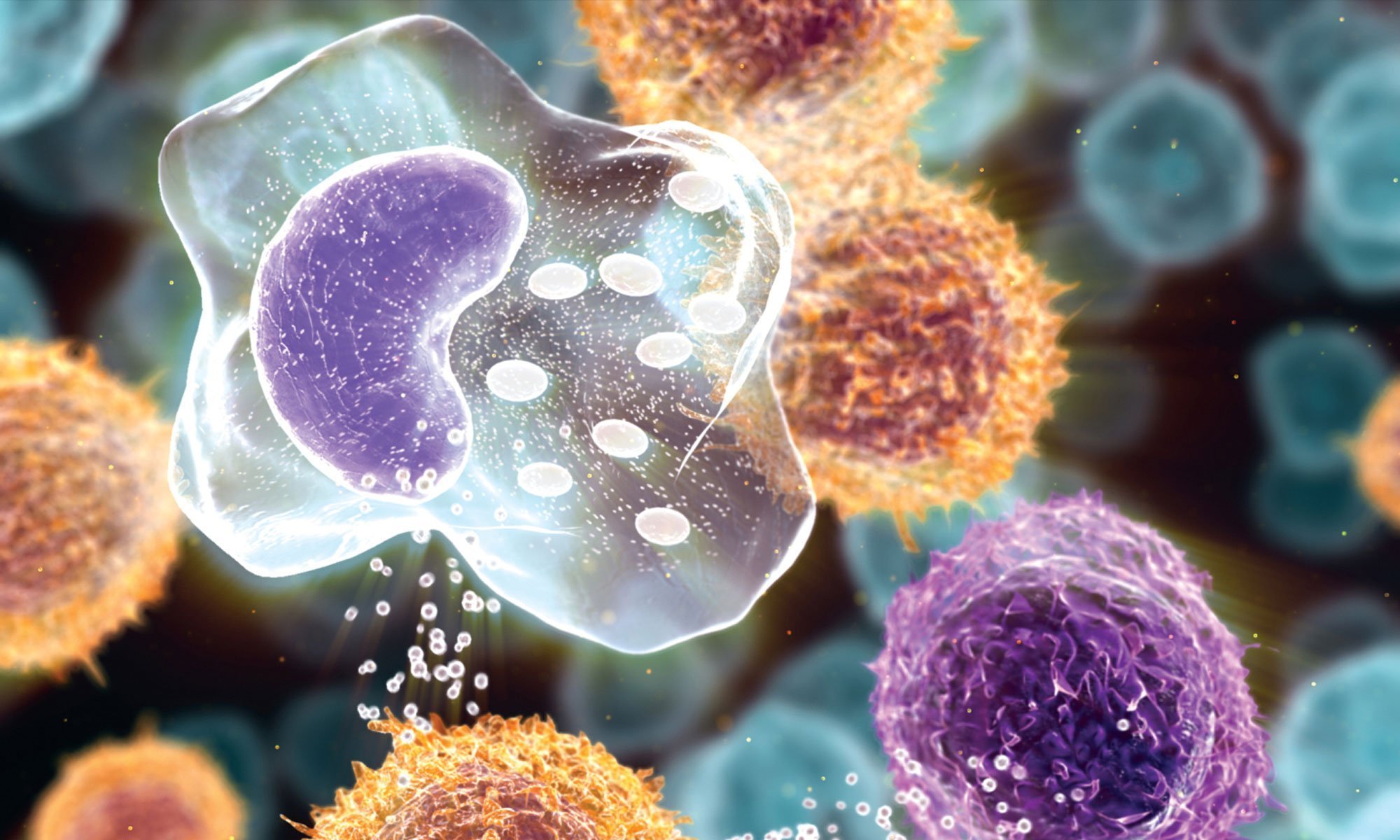 image of antibody response