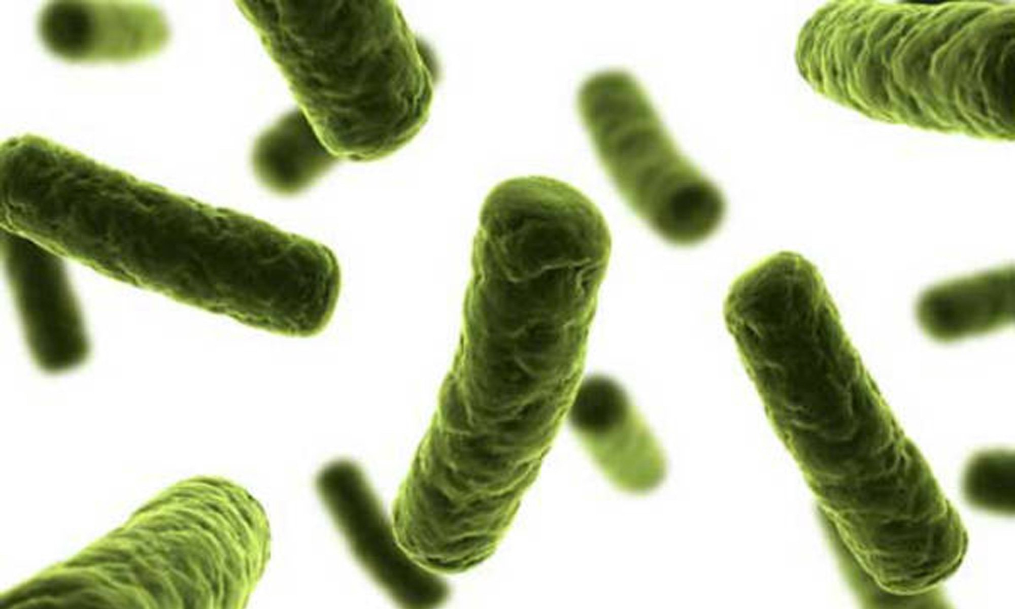 image of bacterial-attack