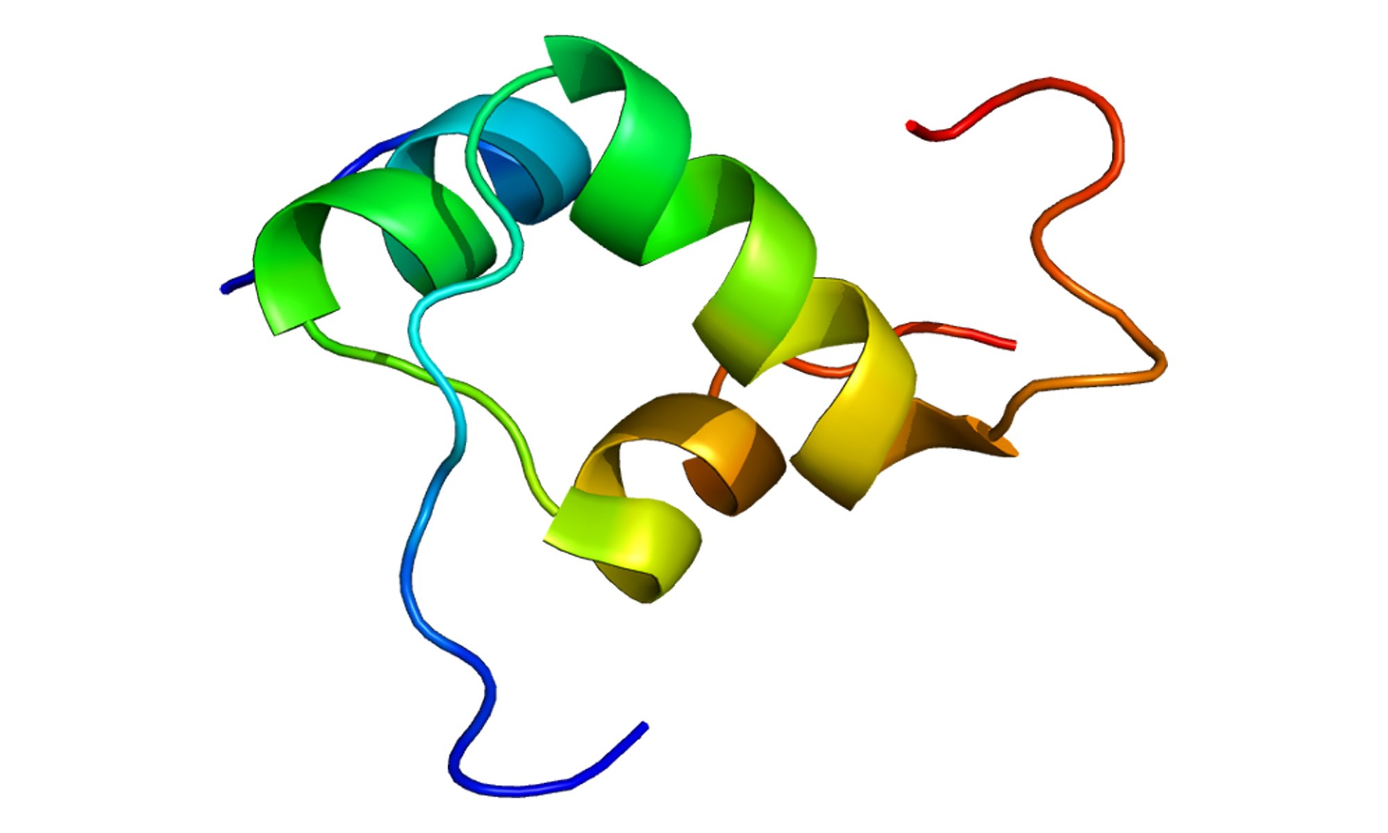 image of Protein_INSL3
