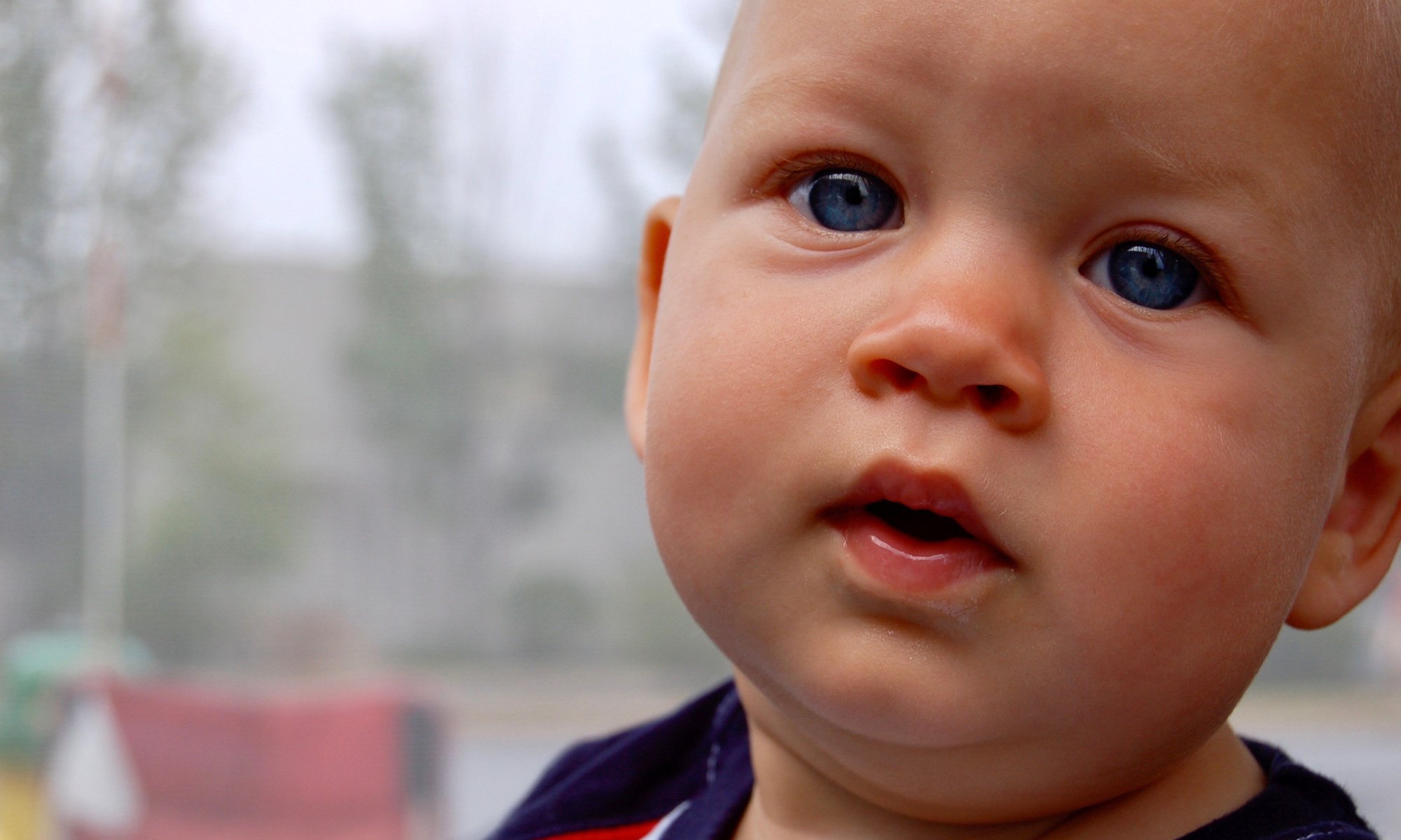 image of des grandson
