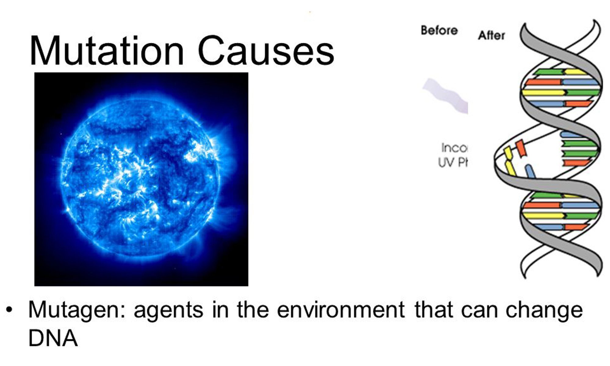 image of germ cell mutation