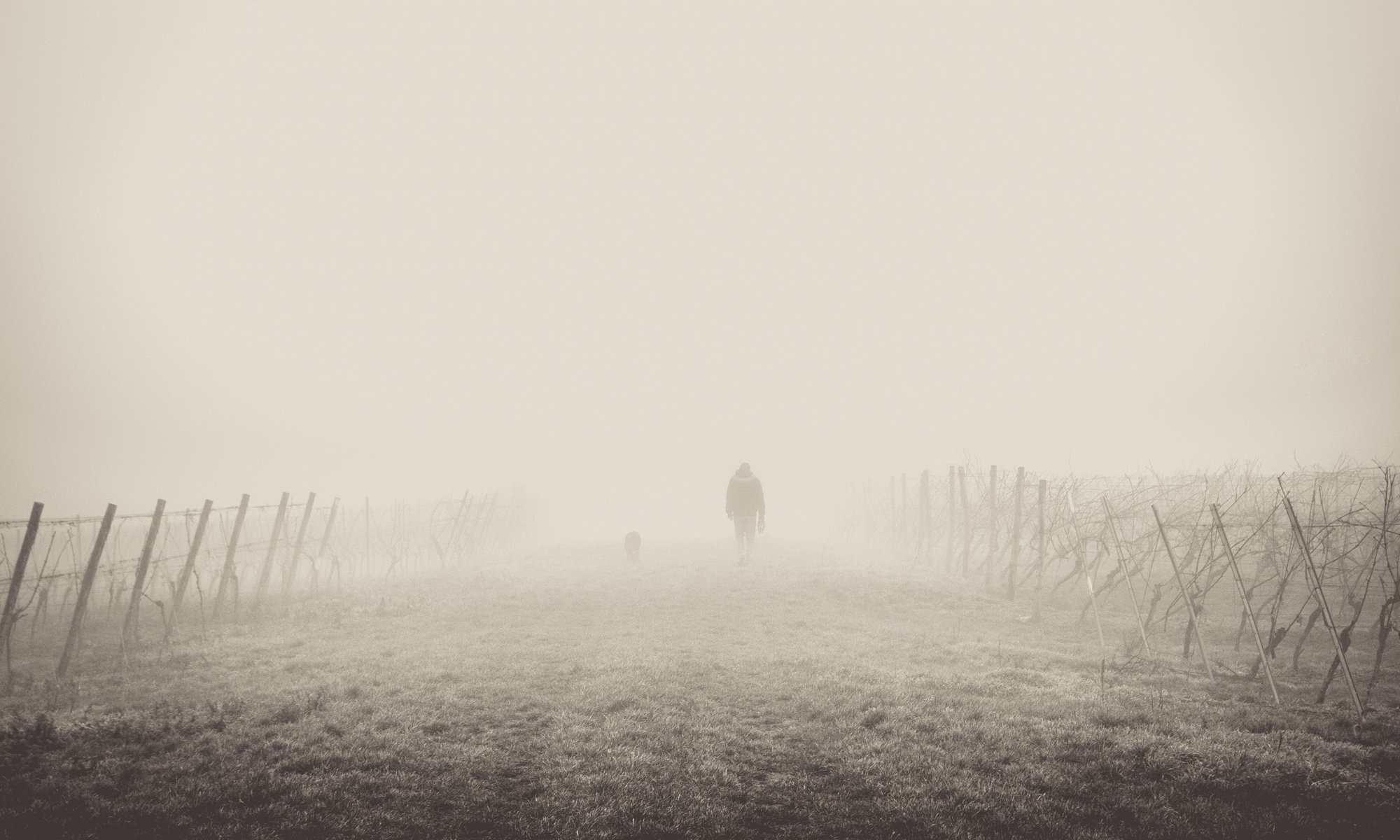 walking in fog image