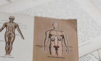 Screening of adolescents exposed to diethylstilbestrol in utero
