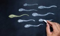 Decreased Sperm Quality