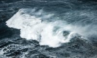 Exogenous Estrogens and Breast Cancer : DES