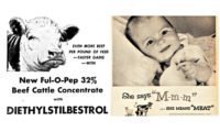The case of diethylstilbestrol treated veal contained in homogenized baby-foods in Italy